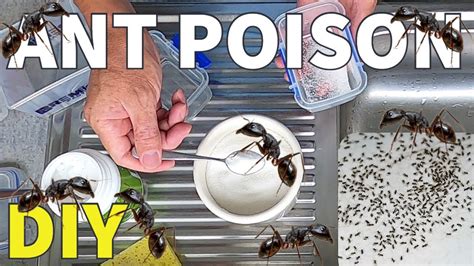 What happens if you breathe in too much ant poison?