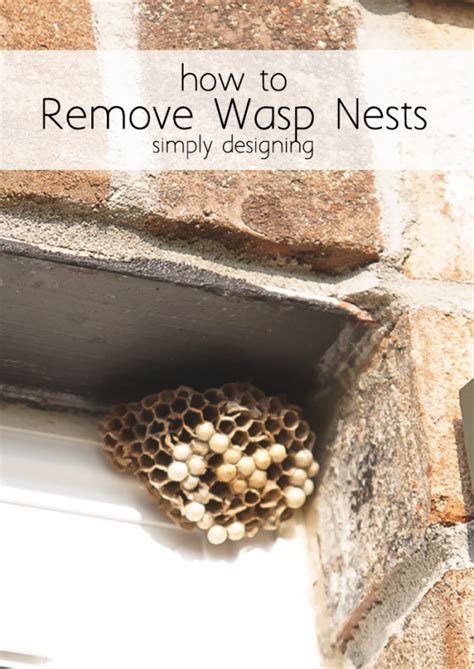 What happens if you don't remove a wasp nest?