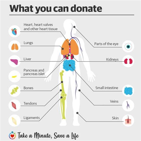 What happens if you don't want to donate organs?