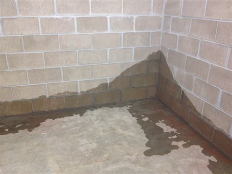 What happens if you don't waterproof a basement?