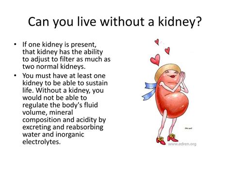 What happens if you donate a kidney?