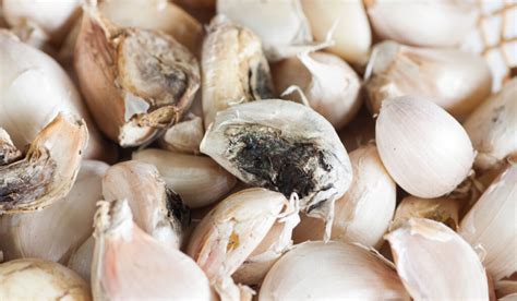 What happens if you eat bad garlic?