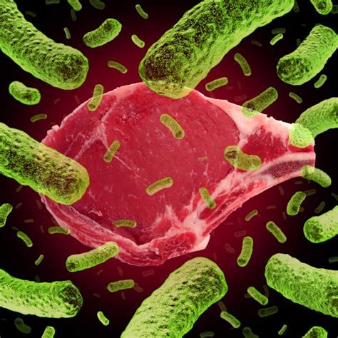 What happens if you eat meat with bacteria?
