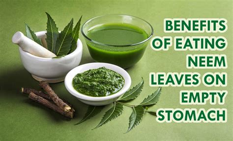 What happens if you eat neem leaves daily?