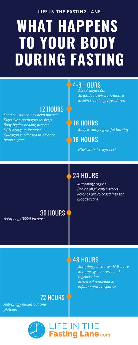 What happens if you fast for 14 days?