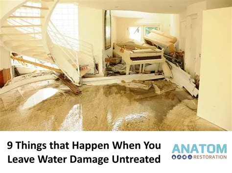 What happens if you leave water damage untreated?