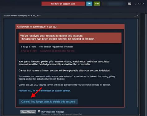 What happens if you lose your Steam account?