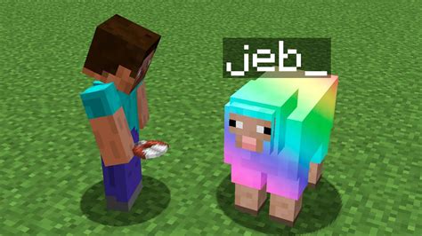 What happens if you name a sheep Jeb?