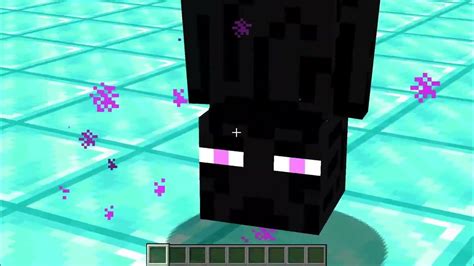 What happens if you name an Enderman?
