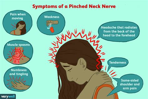 What happens if you pinch the back of your neck?