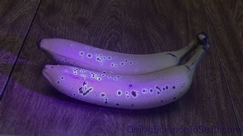 What happens if you shine blue light on a banana?