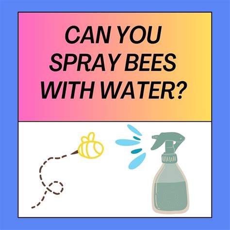 What happens if you spray water at a bee?