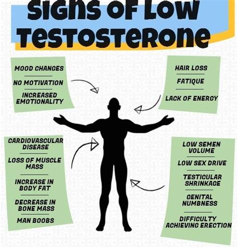 What happens to a man when his testosterone is low?