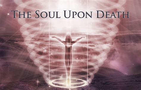 What happens to a soul reaper after death?