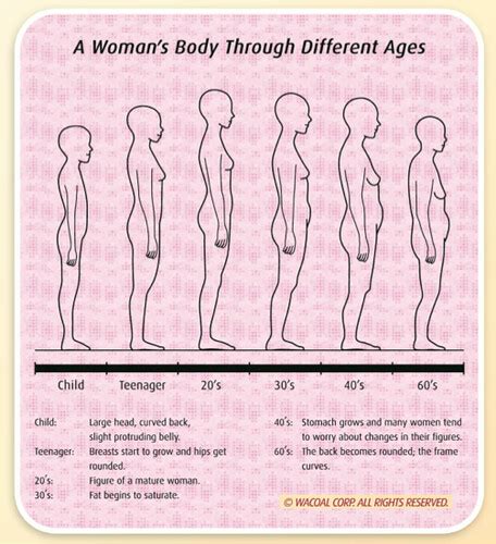 What happens to a woman's body at the age of 25?