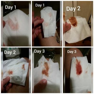 What happens to blood after 42 days?