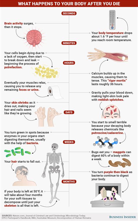 What happens to blood after death?