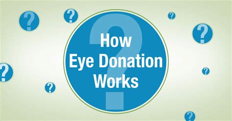 What happens to donated eyeballs?