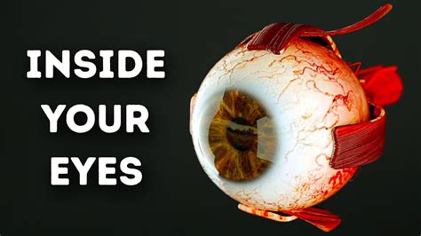 What happens to eyes when turned on?