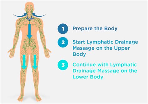 What happens to lymph after massage?