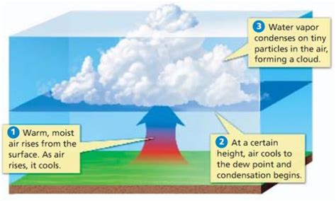 What happens to moist air?