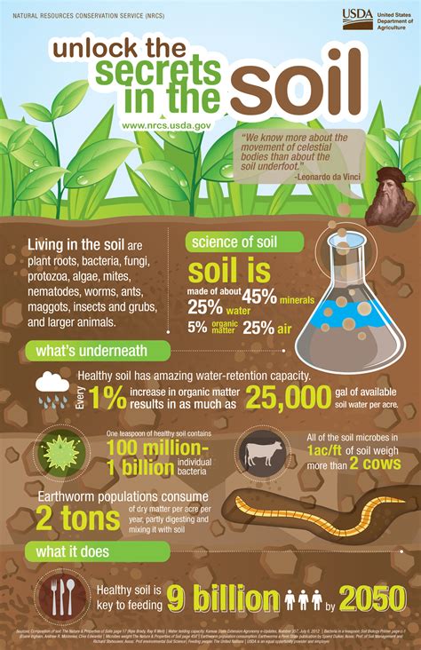What happens to oil in soil?