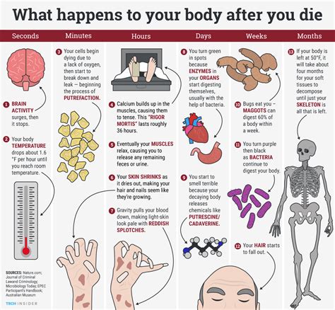 What happens to skin on the moon?