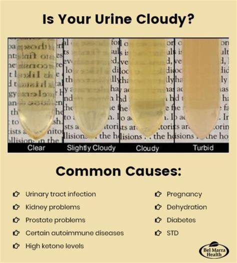 What happens to urine when it dries?