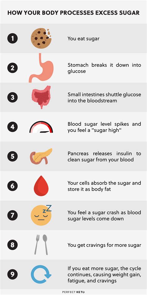 What happens to your blood sugar when you don't eat?