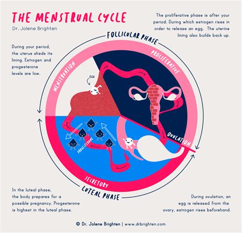 What happens to your body a week before your period?