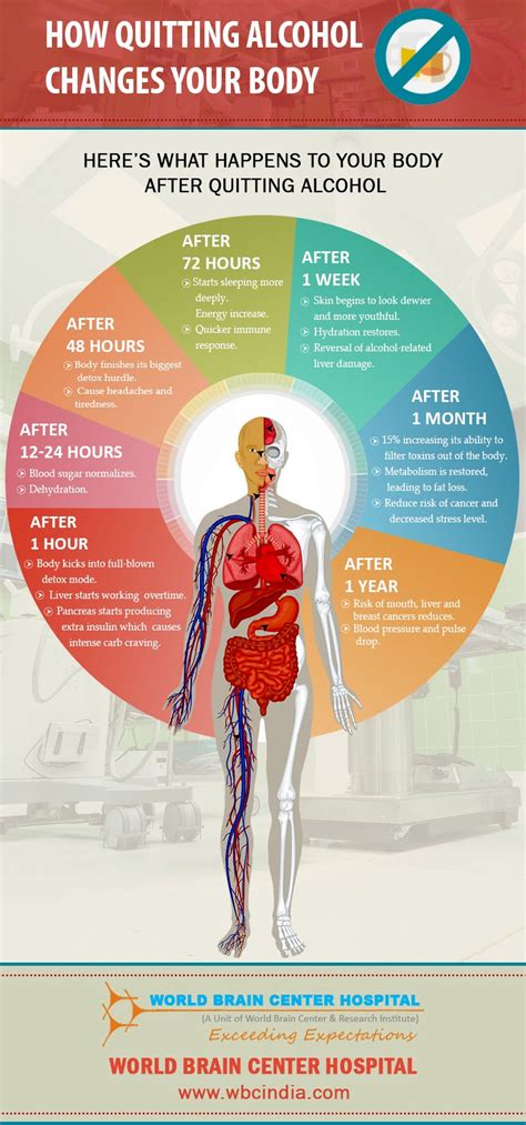 What happens to your body after 1 year of no alcohol?