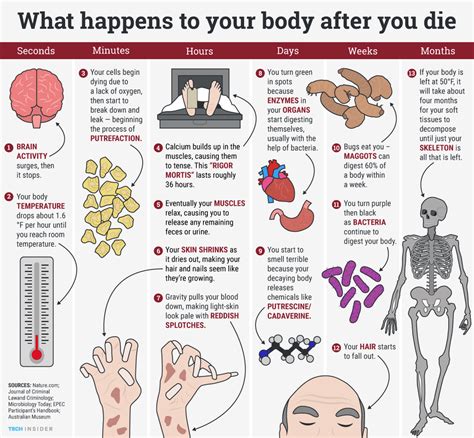 What happens to your body after 25 men?