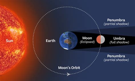 What happens to your body during a full moon?