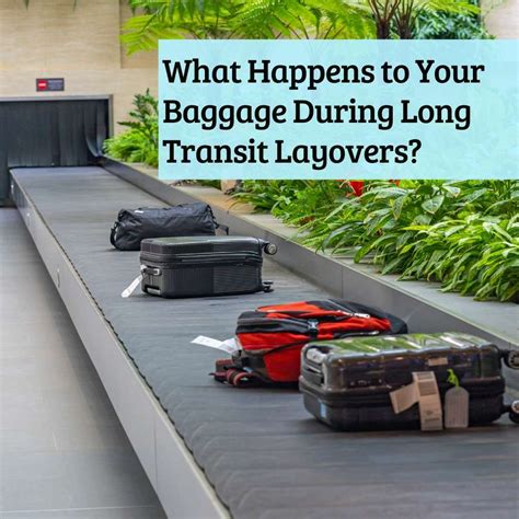 What happens to your checked bag when you have a long layover?