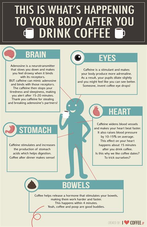 What happens to your pupils when you drink coffee?