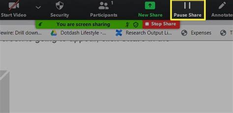 What happens when screen sharing is paused zoom?