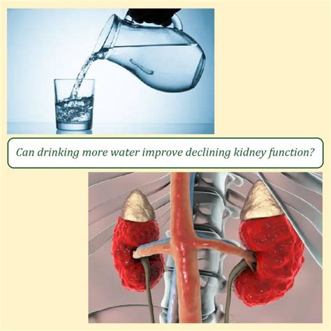What happens when the kidneys remove too much water?