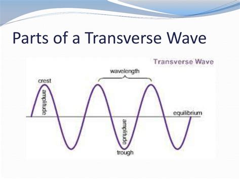 What happens when waves cross each other?