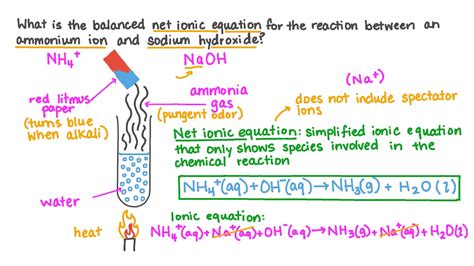 What happens when you boil ammonia?