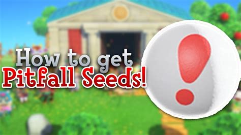 What happens when you bury a pitfall seed?
