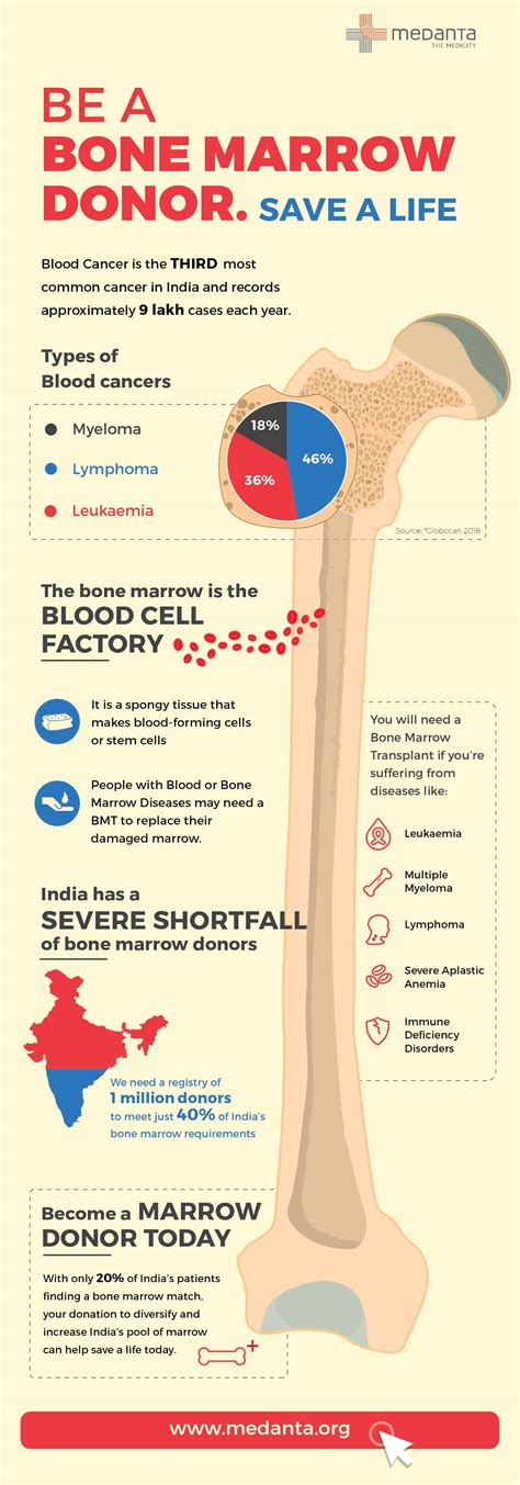 What happens when you donate bone?