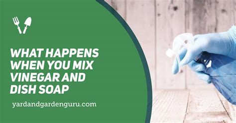 What happens when you mix vinegar and dish soap?