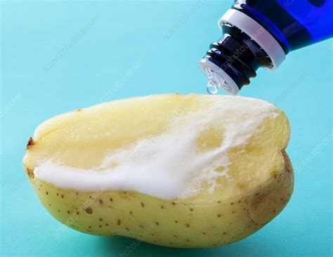 What happens when you put hydrogen peroxide on a frozen potato?