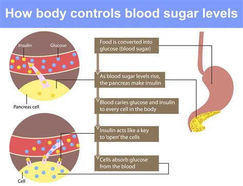 What happens when your blood sugar is over 10?