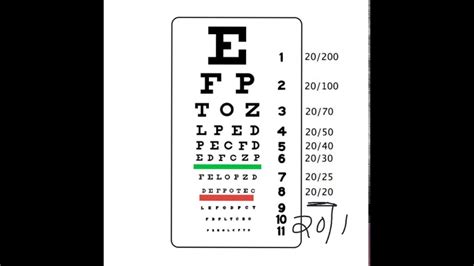 What has the best eyesight ever?