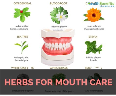What herbs are good for mouth infections?