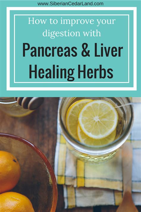 What herbs are good for pancreas?
