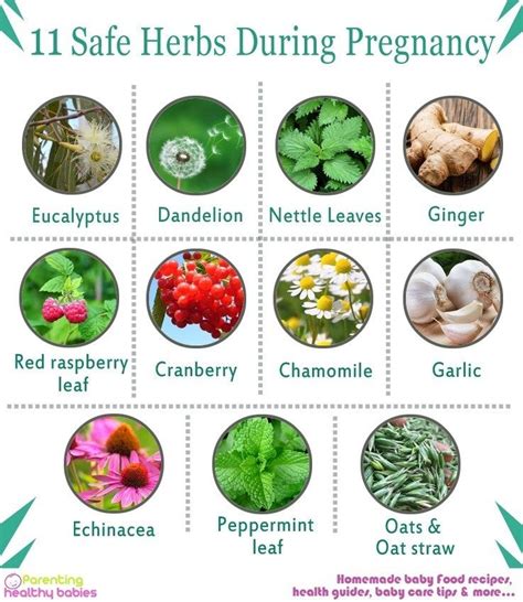 What herbs are not good for fertility?