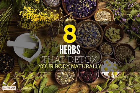 What herbs help detox the body?