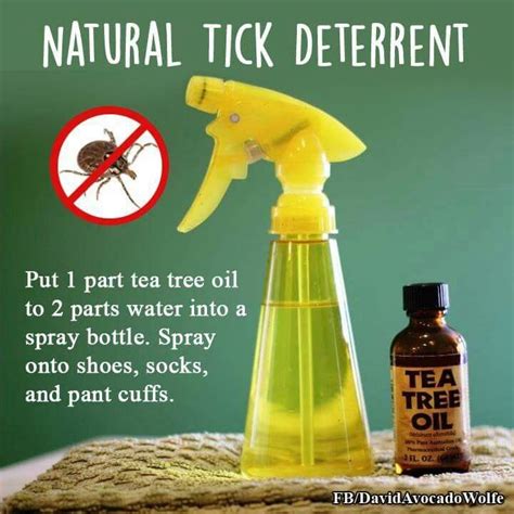 What homemade remedy kills ticks?